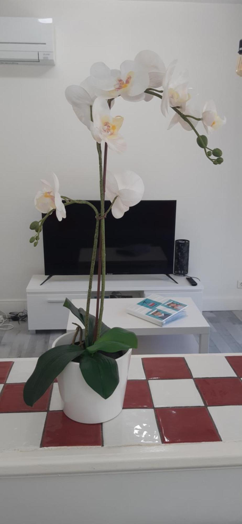 Logement Le Serein Toulon Eksteriør billede